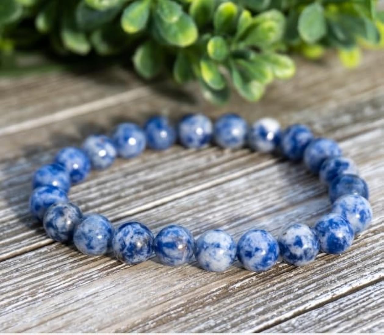 51Ier1D3quL._AC_UY1100_